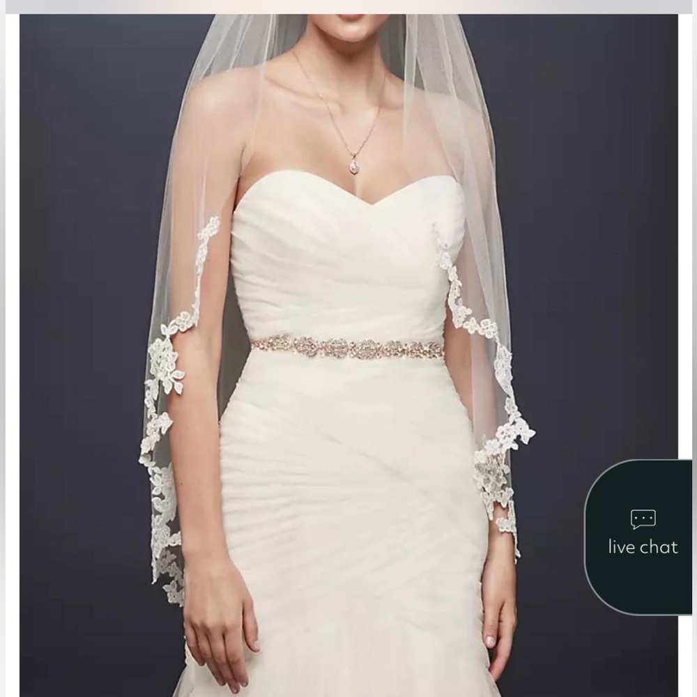 David’s Bridal Corded Lace Edge Fingertip Veil